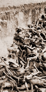 Hundreds of innocent victims of Auschwitz and other death camps.